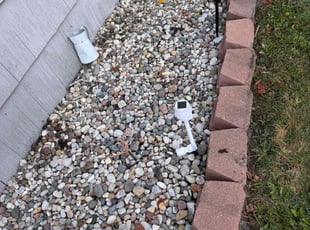 Robert L.'s Flower Bed Weeding service result