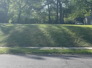 Nabil K.'s turf care service result