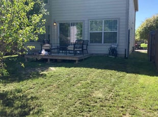 Priscilla D.'s turf maintenance service result