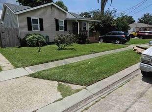 Carol C.'s lawn care service result