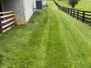 Chris C.'s grass maintenance service result