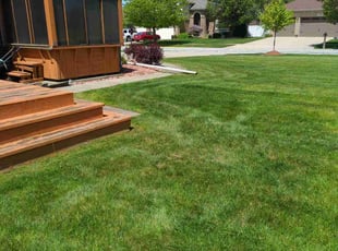 Ronna W.'s lawn maintenance service result
