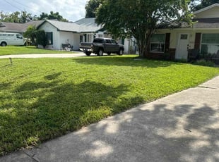 Alante J.'s lawn care services service result