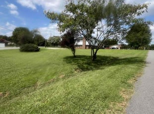 Kathleen G.'s grass cutting service result