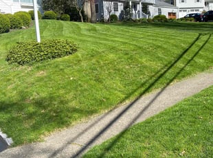 Eileen T.'s lawn service service result