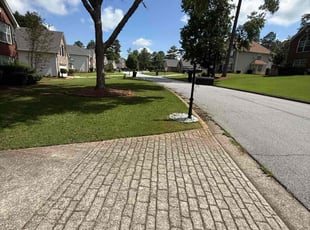 Grace H.'s turf maintenance service result