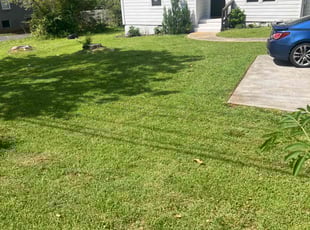 Jessica F.'s lawn care services service result