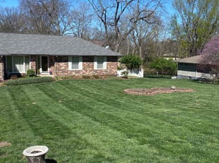 James M.'s grass maintenance service result