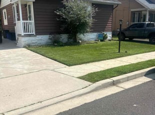 Stephanie B.'s lawn service service result