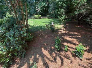 Marlene H.'s turf maintenance service result