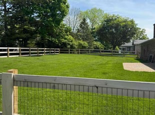 Kelvin J.'s turf maintenance service result