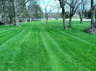 Kay B.'s lawn care services service result