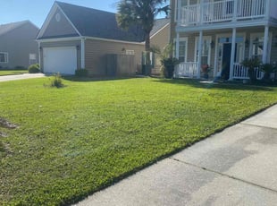Cathy G.'s lawn service service result