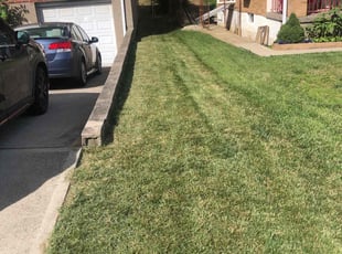 Mimi S.'s lawn service service result
