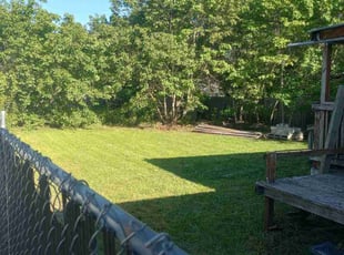 Renie O.'s grass maintenance service result