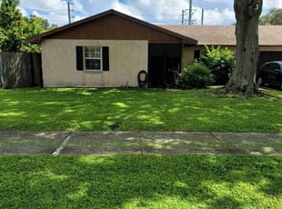 Arnaldo P.'s grass cutting service result