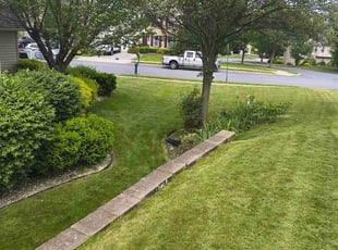Anne T.'s grass maintenance service result
