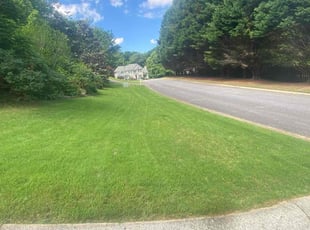 Selina G.'s grass cutting service result