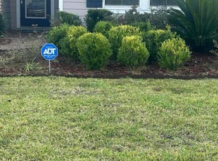 Angel A.'s turf maintenance service result