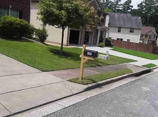 Phillip K.'s turf care service result