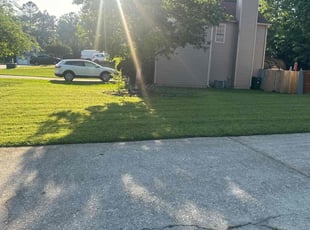 Cindy T.'s lawn care services service result