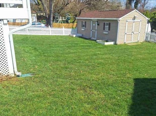 Gia N.'s lawn maintenance service result