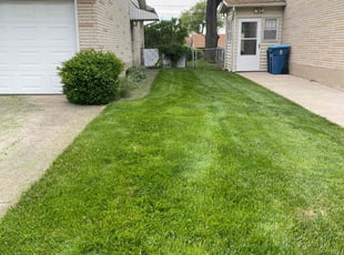 Md M.'s turf care service result