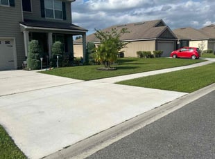 Emanuel G.'s lawn maintenance service result