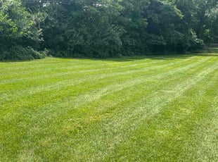 Shelley P.'s turf maintenance service result