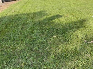 Crystal R.'s lawn care services service result