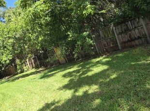 Annie B.'s lawn service service result