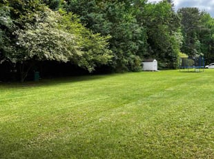 Yashema B.'s lawn maintenance service result