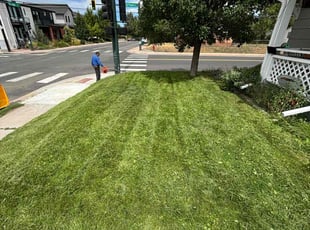 Robert G.'s turf care service result