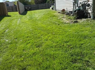 Laquite E.'s Long Grass Cleanup service result