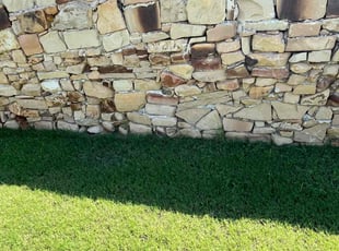 Sarah S.'s grass cutting service result