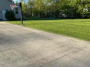 Argie G.'s lawn maintenance service result