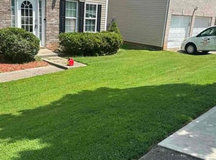 Patricia P.'s turf care service result