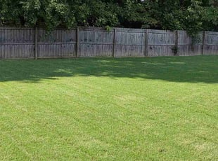 Richard J.'s lawn care services service result
