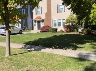 Laura S.'s lawn care service result