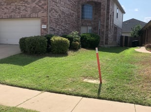 Connie M.'s Bush Trimming service result