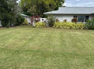 Jason M.'s lawn service service result