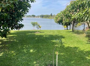 ERIC SCOTT S.'s lawn maintenance service result