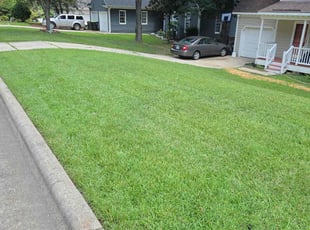 Ramona S.'s grass maintenance service result