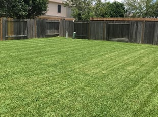 Olga S.'s grass cutting service result