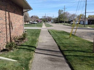 Linus B.'s turf maintenance service result