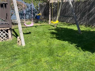 Victoria F.'s turf care service result