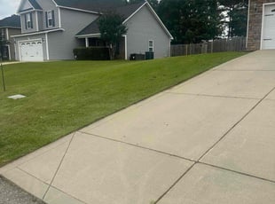 Hugo H.'s lawn care service result
