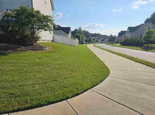 Frances E.'s lawn care services service result