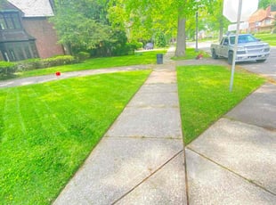 Sharian L.'s turf maintenance service result