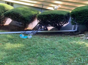 Tyrone L.'s Bush Trimming service result